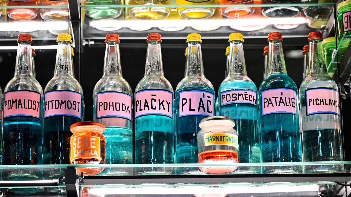 Nejlepší výstavy podzimu: tipy na galerie po celé republice